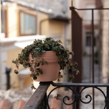 Casa Catalè Modica